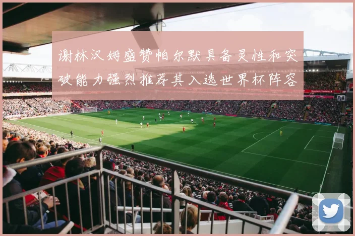 谢林汉姆盛赞帕尔默具备灵性和突破能力强烈推荐其入选世界杯阵容